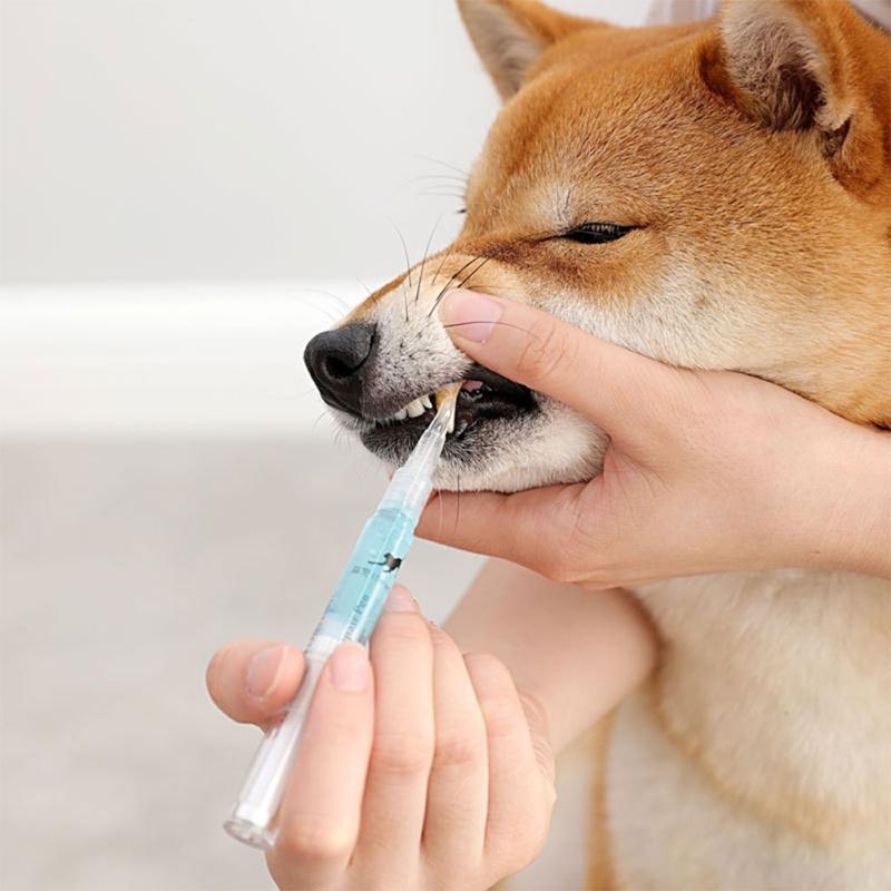 Pet Tooth Whitening Kit