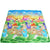 Double Sided Play Mat Dinosaur and Animal Zoo