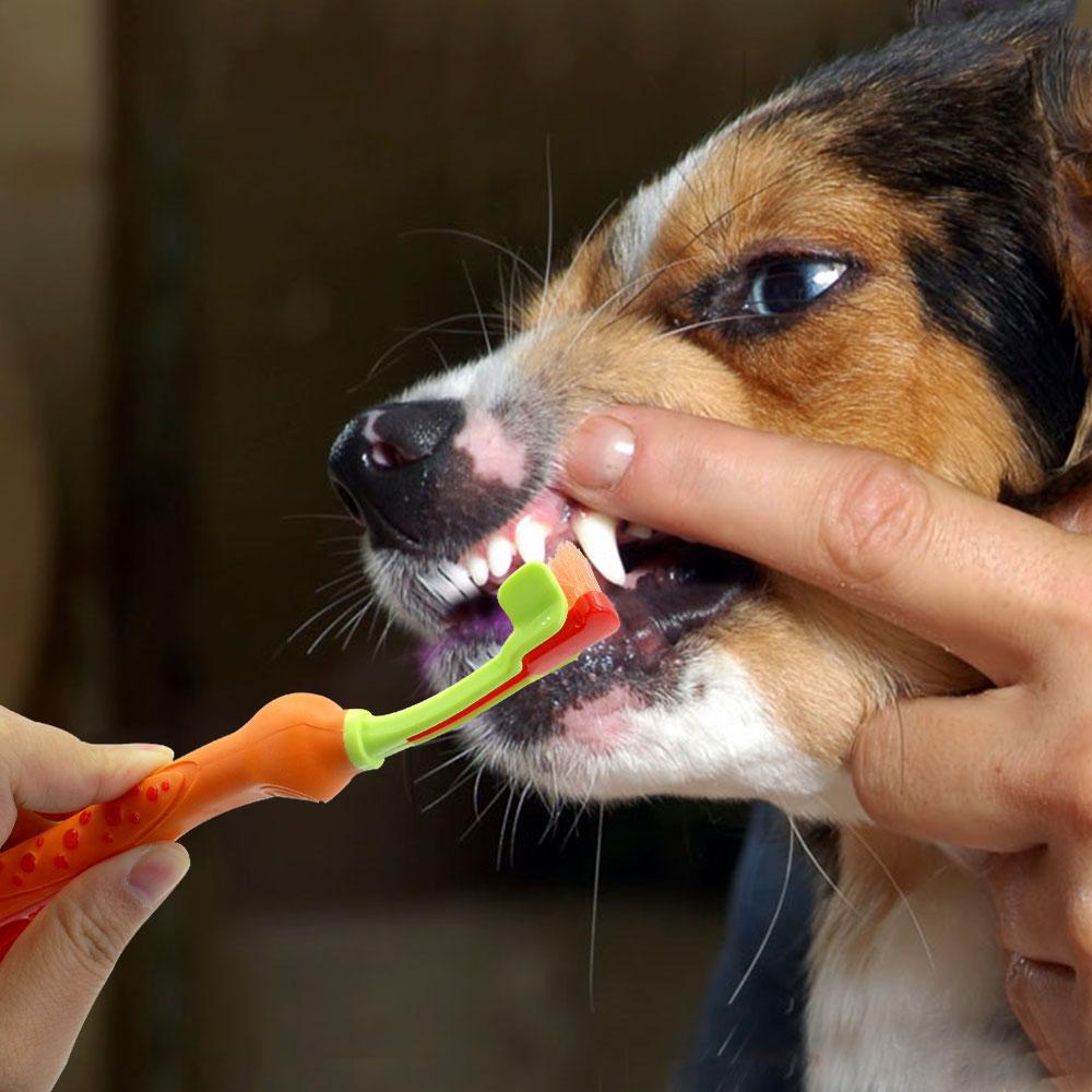 3 Sided Pet Tooth Brush