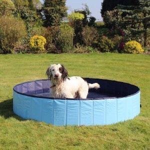 Foldable Dog Swimming Pool