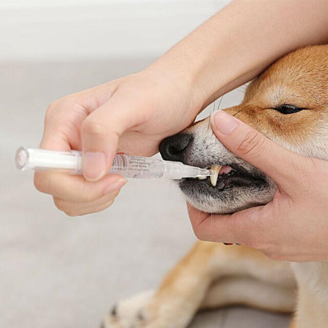 Pet Tooth Whitening Kit