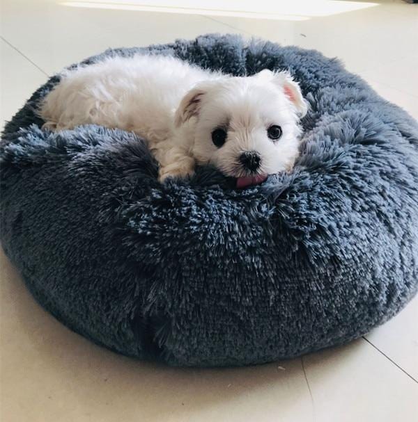 Round Pet Bed